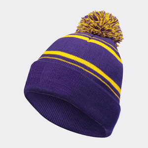 Homecoming Beanie